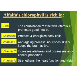 Alfalfa Concentrated Chlorophyll