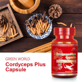 Cordyceps Plus Capsule