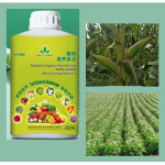 Nutriplant Organic Fertilizer (1 liter)